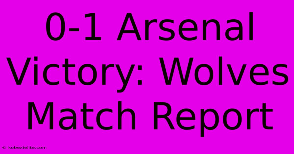 0-1 Arsenal Victory: Wolves Match Report