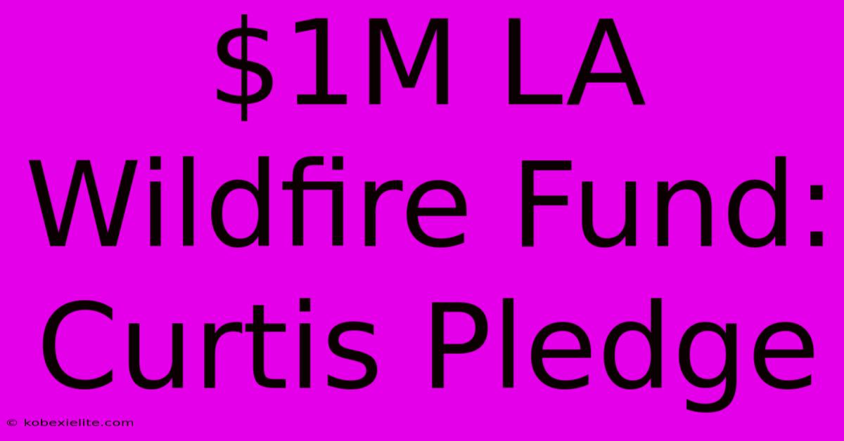 $1M LA Wildfire Fund: Curtis Pledge