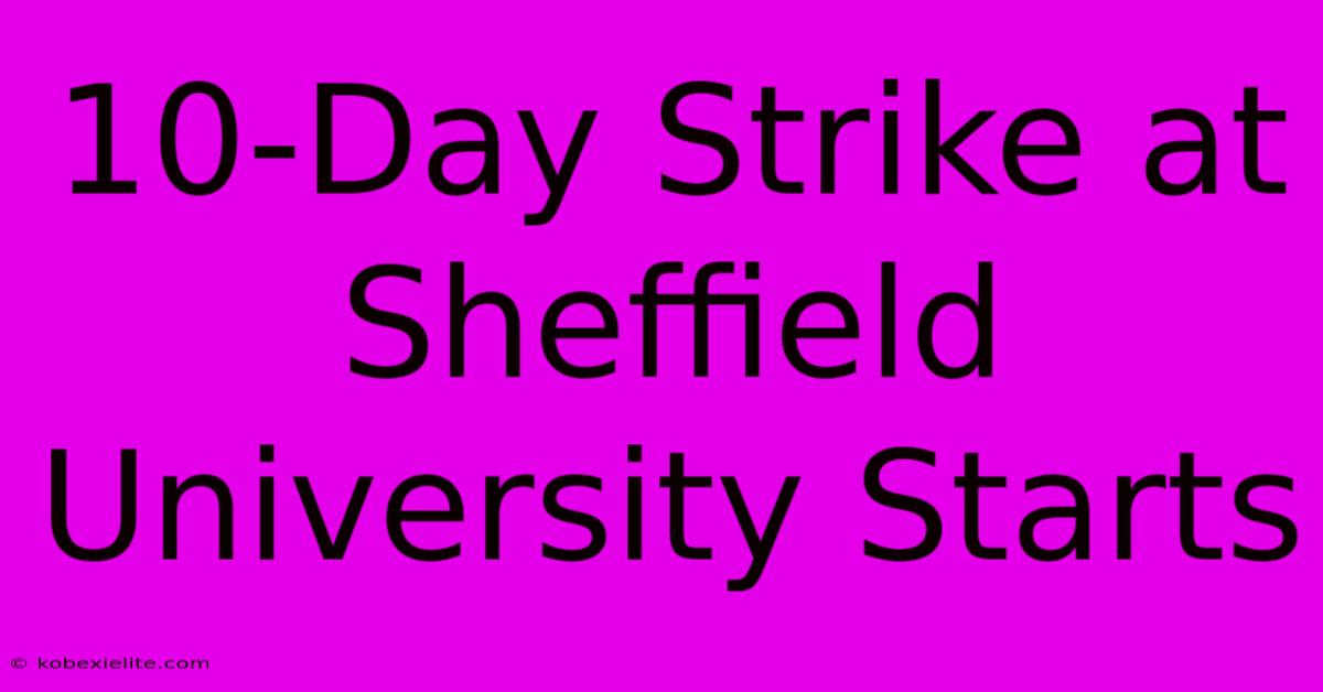 10-Day Strike At Sheffield University Starts