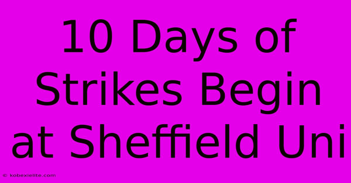 10 Days Of Strikes Begin At Sheffield Uni