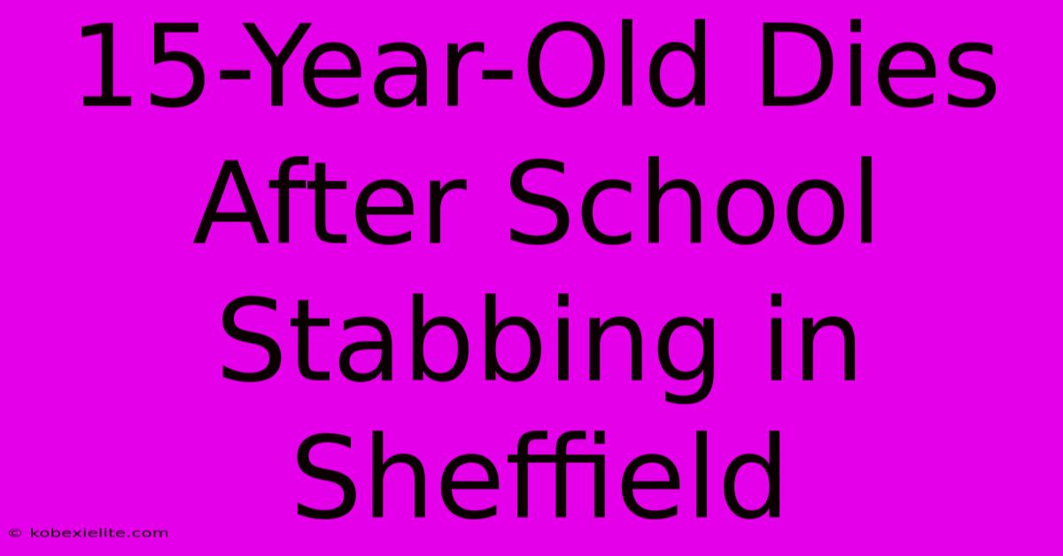 15-Year-Old Dies After School Stabbing In Sheffield