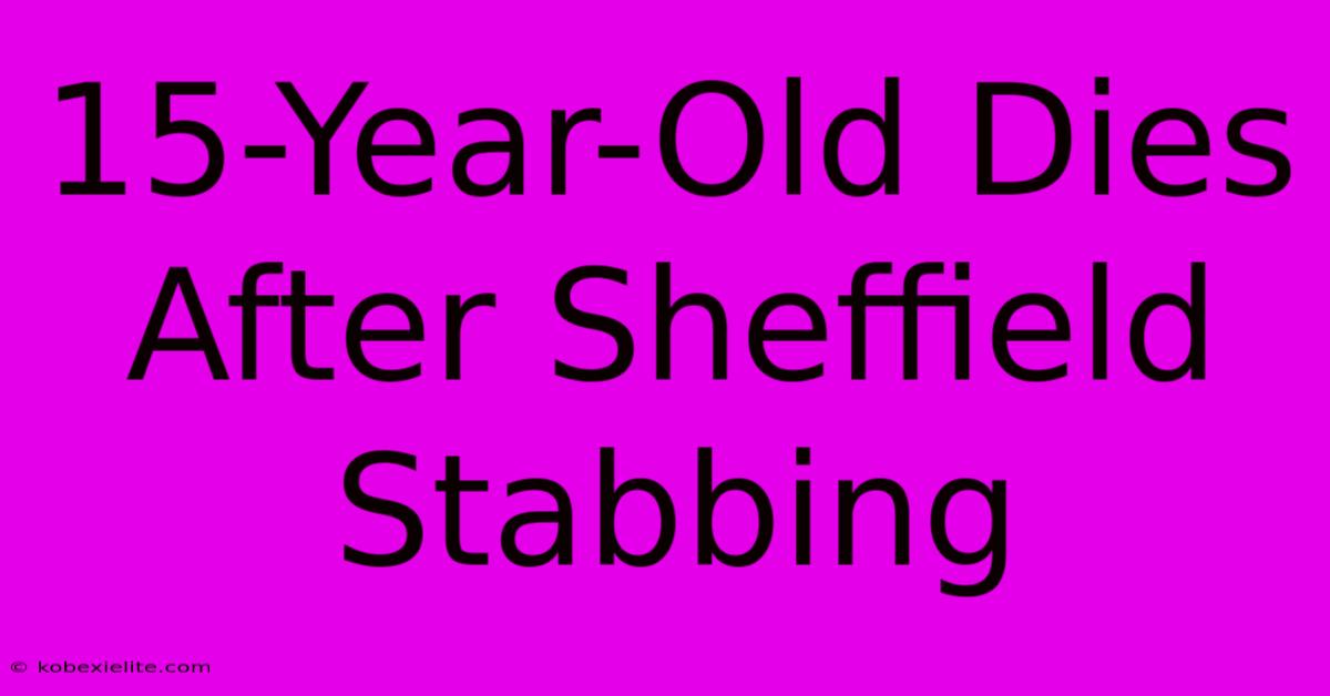 15-Year-Old Dies After Sheffield Stabbing