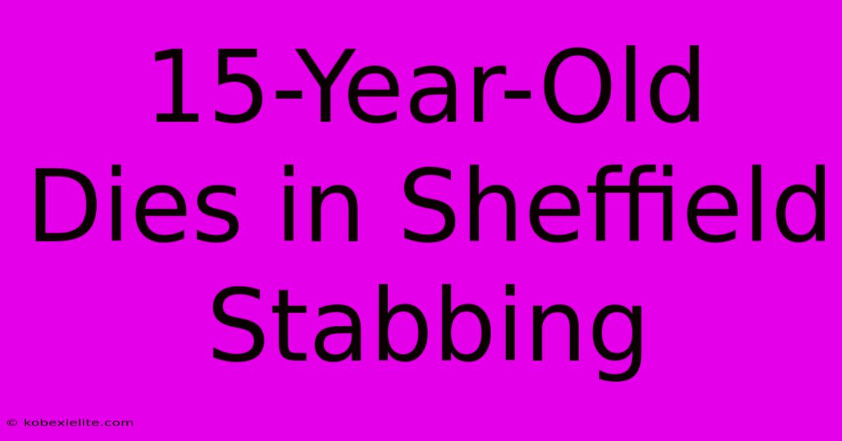 15-Year-Old Dies In Sheffield Stabbing