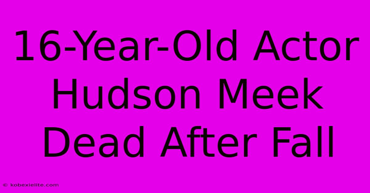 16-Year-Old Actor Hudson Meek Dead After Fall