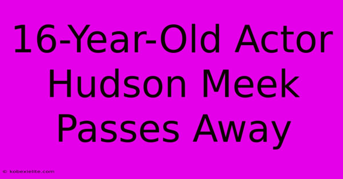 16-Year-Old Actor Hudson Meek Passes Away