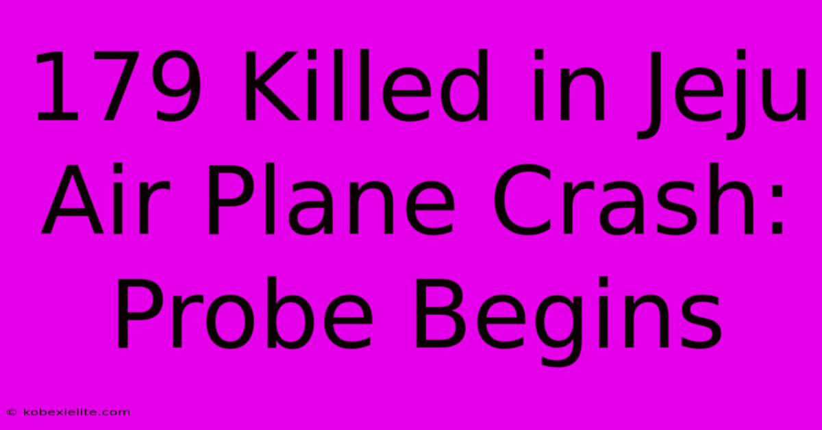 179 Killed In Jeju Air Plane Crash: Probe Begins