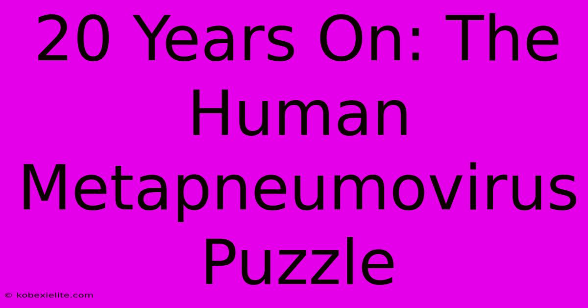 20 Years On: The Human Metapneumovirus Puzzle