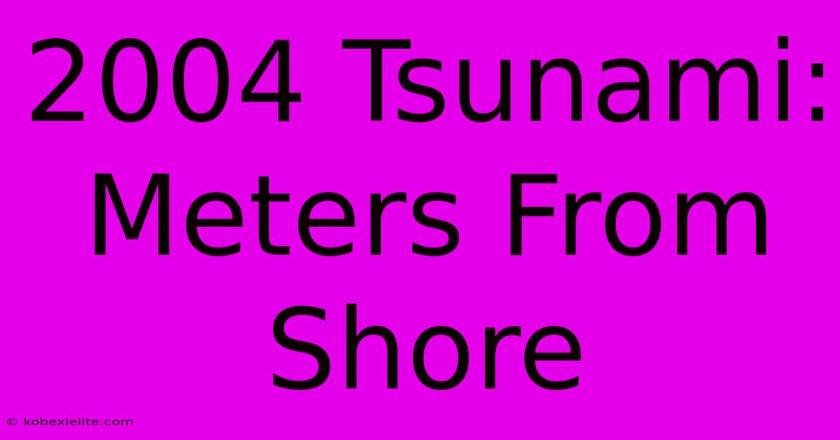 2004 Tsunami: Meters From Shore