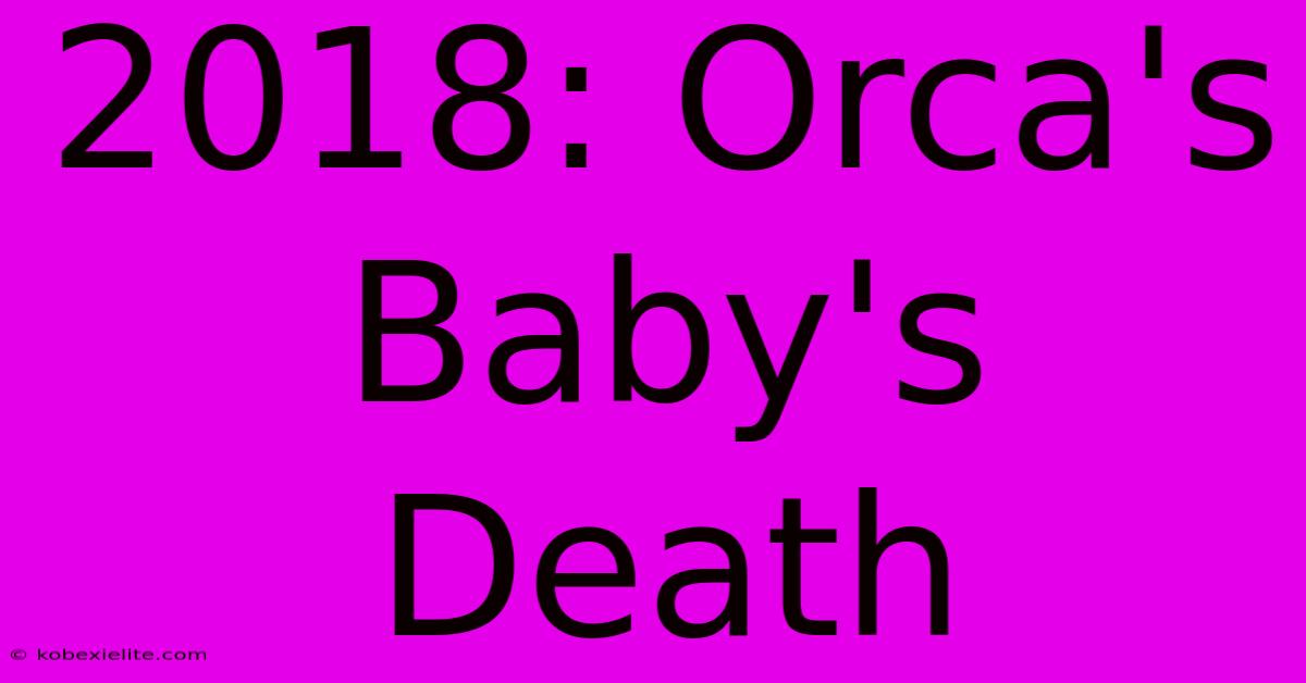 2018: Orca's Baby's Death