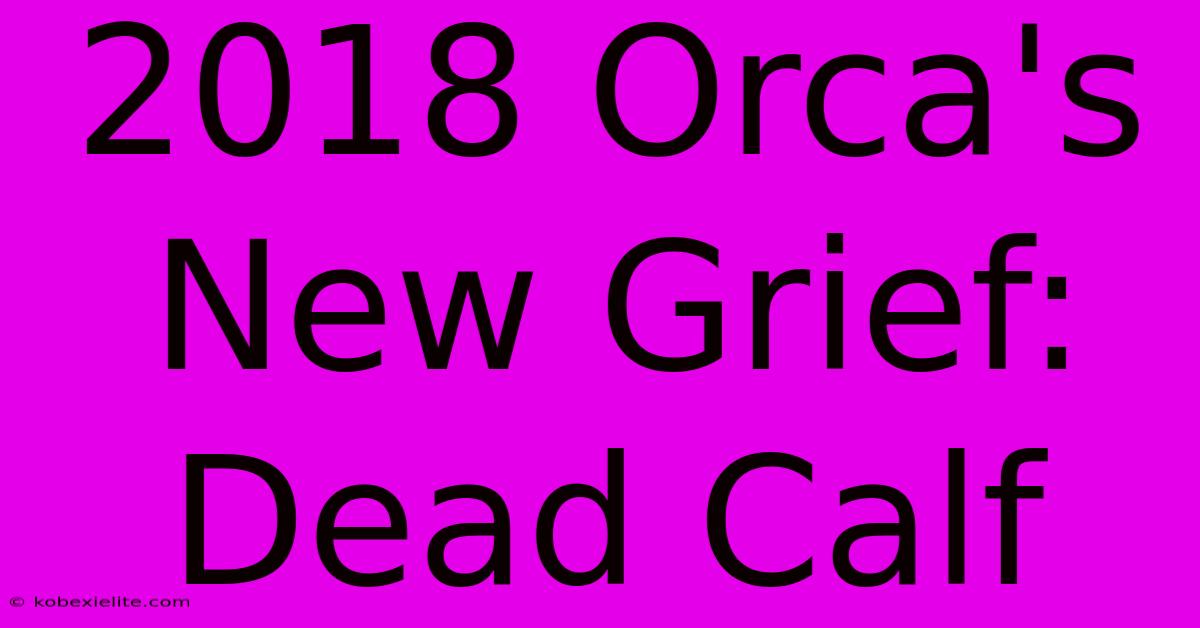 2018 Orca's New Grief: Dead Calf