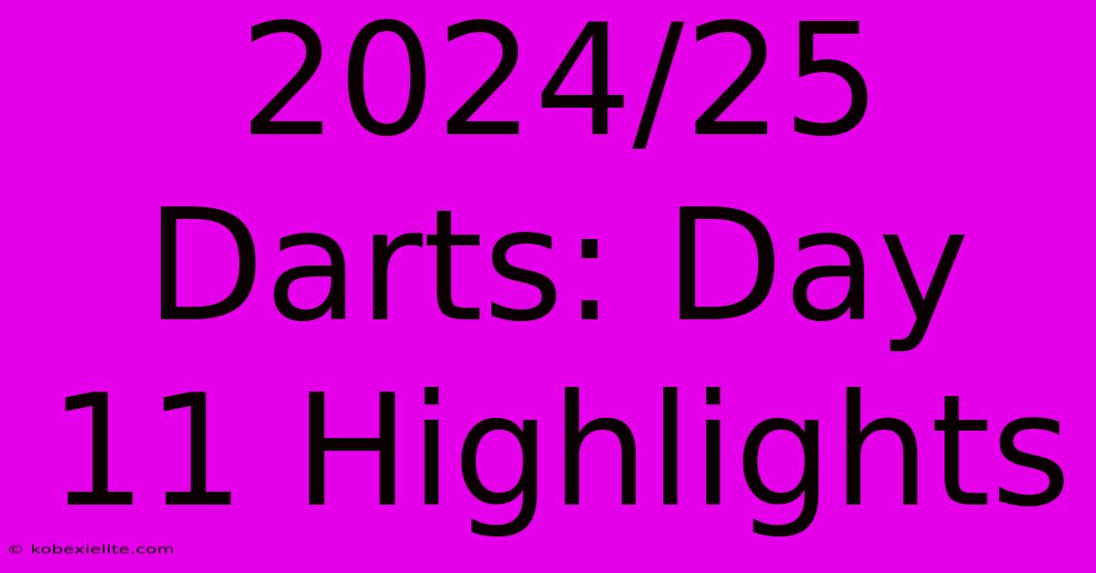 2024/25 Darts: Day 11 Highlights