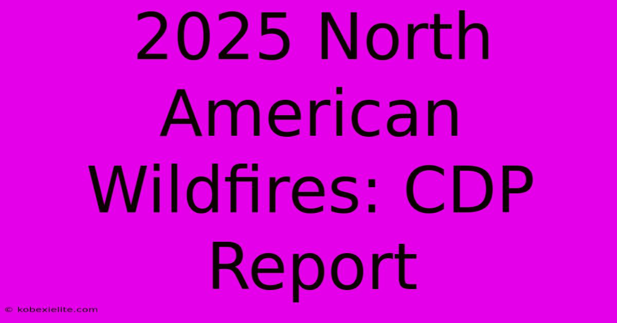 2025 North American Wildfires: CDP Report