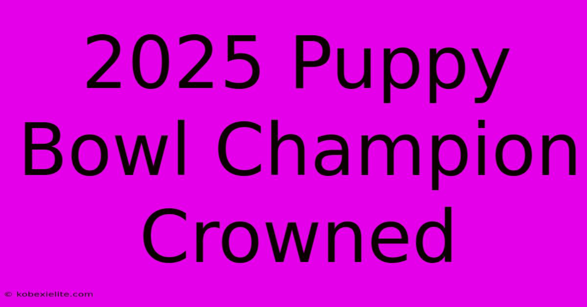 2025 Puppy Bowl Champion Crowned