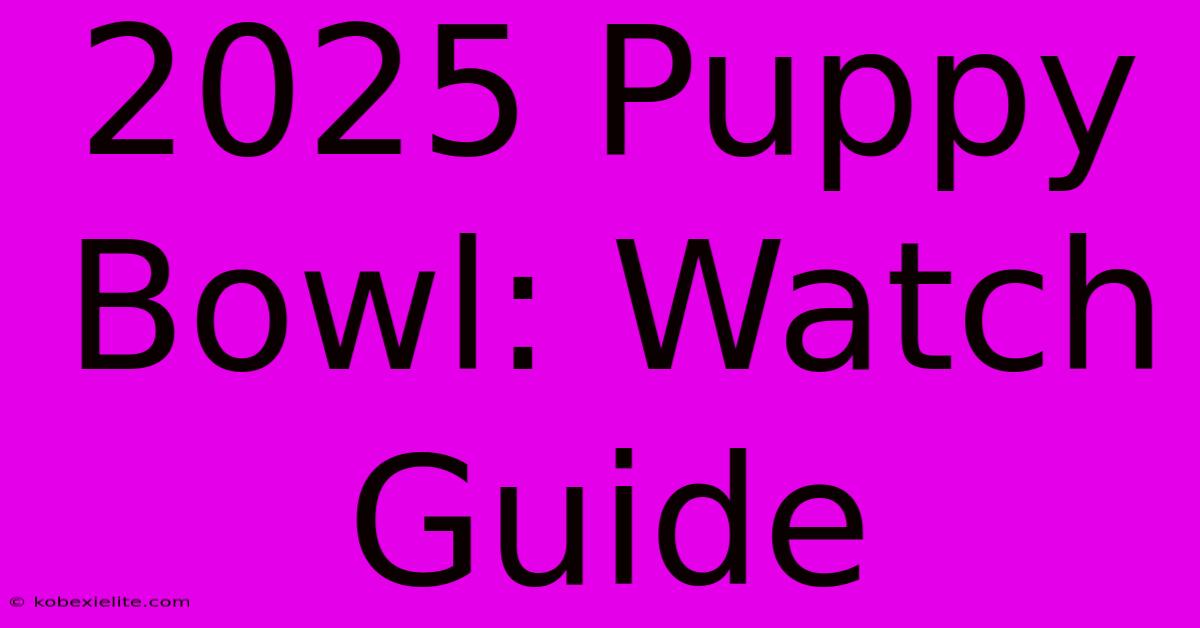 2025 Puppy Bowl: Watch Guide