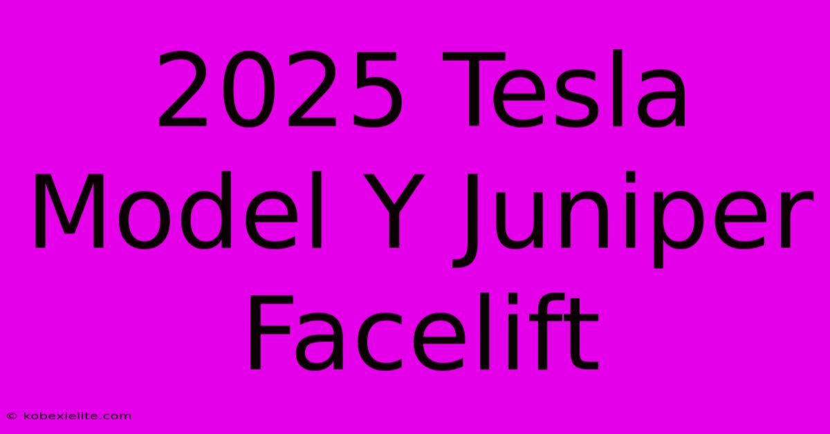 2025 Tesla Model Y Juniper Facelift