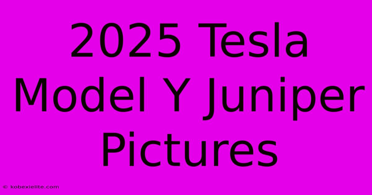 2025 Tesla Model Y Juniper Pictures