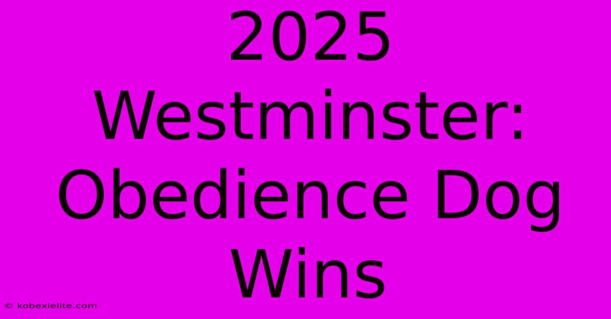 2025 Westminster: Obedience Dog Wins