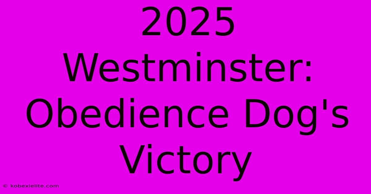 2025 Westminster: Obedience Dog's Victory