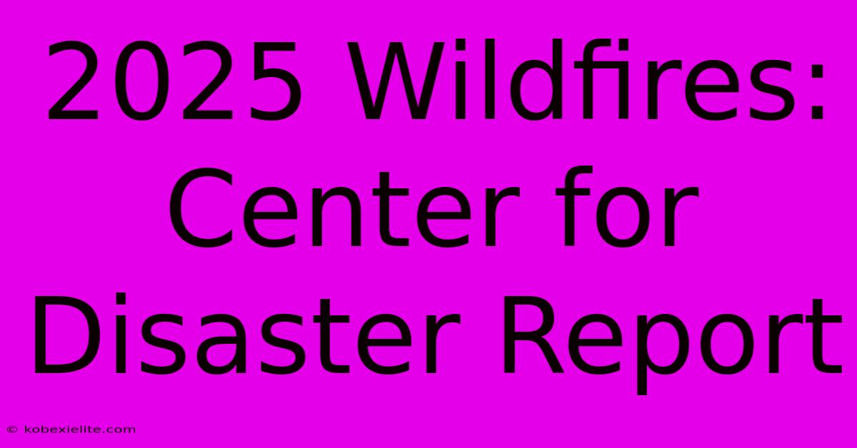 2025 Wildfires: Center For Disaster Report