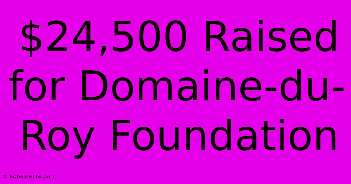 $24,500 Raised For Domaine-du-Roy Foundation