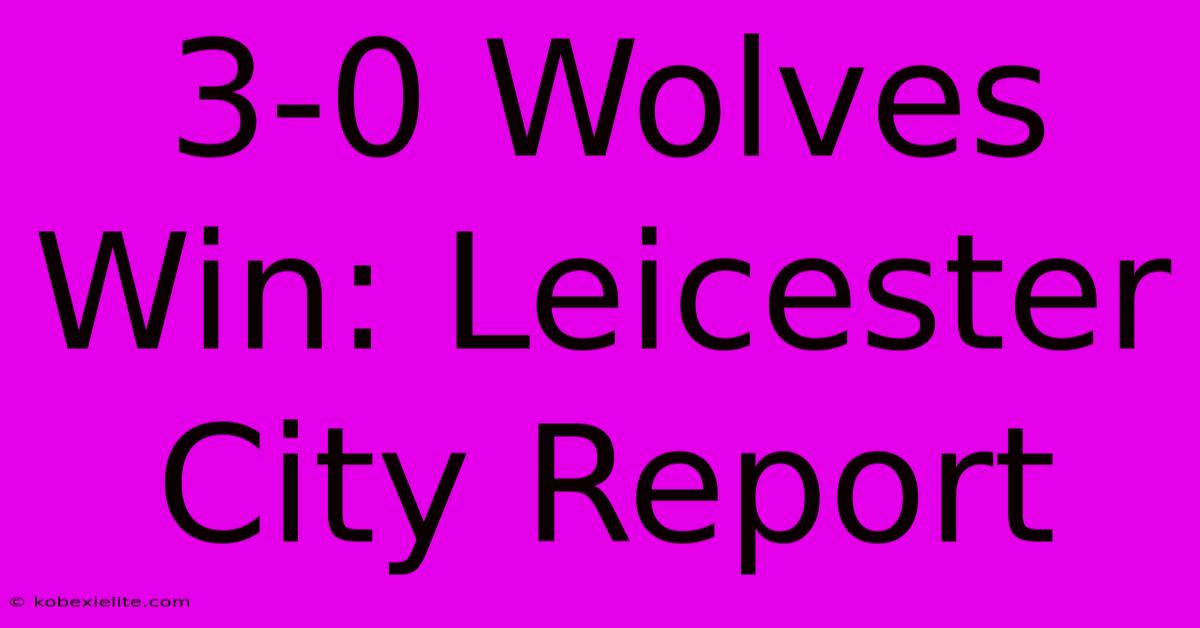 3-0 Wolves Win: Leicester City Report