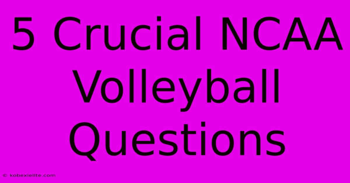 5 Crucial NCAA Volleyball Questions