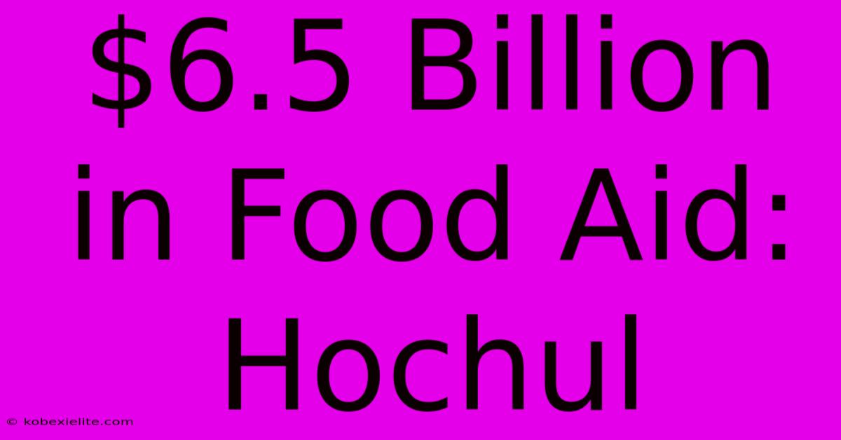 $6.5 Billion In Food Aid: Hochul