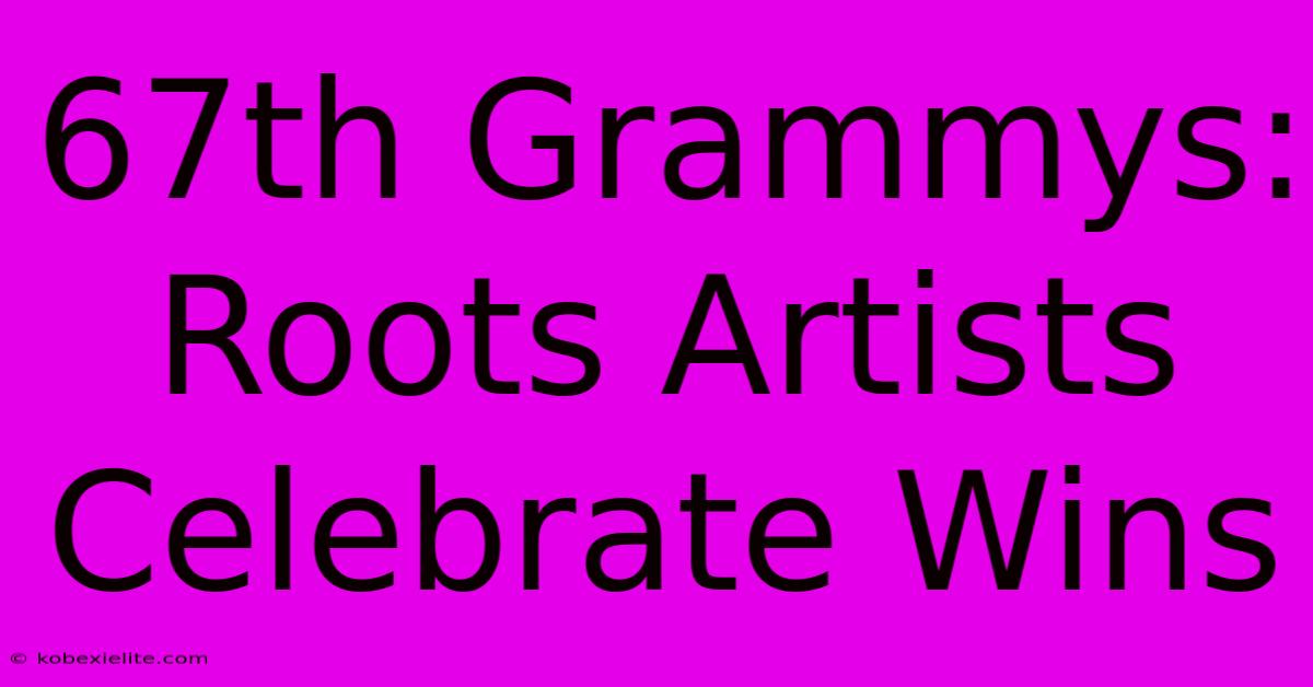 67th Grammys: Roots Artists Celebrate Wins