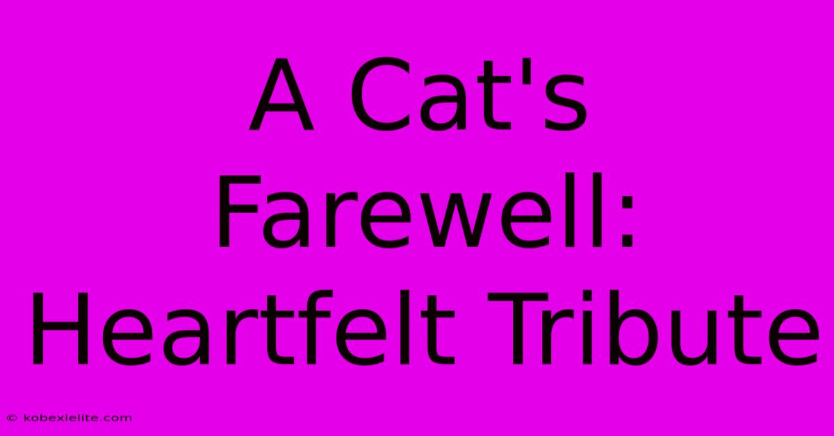 A Cat's Farewell: Heartfelt Tribute