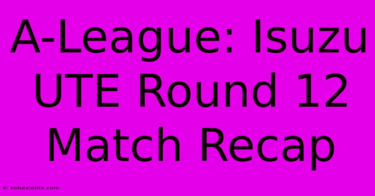 A-League: Isuzu UTE Round 12 Match Recap