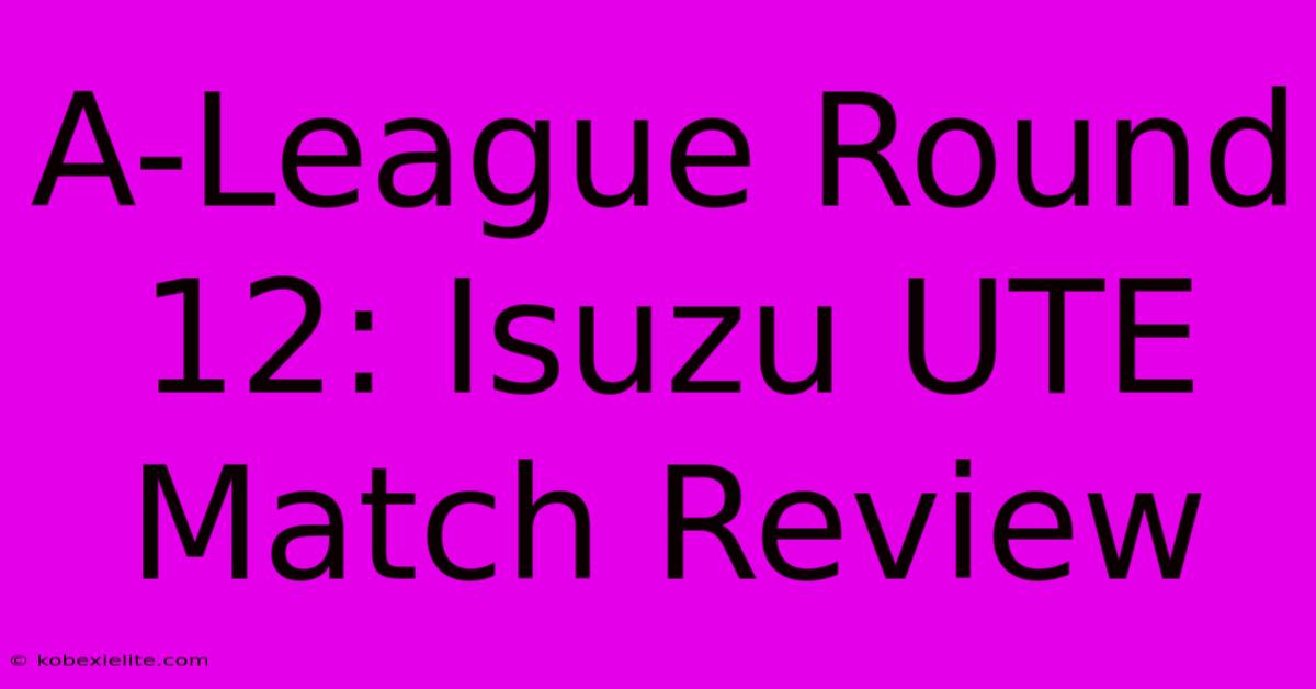 A-League Round 12: Isuzu UTE Match Review