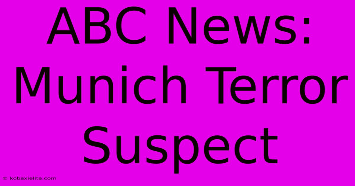 ABC News: Munich Terror Suspect