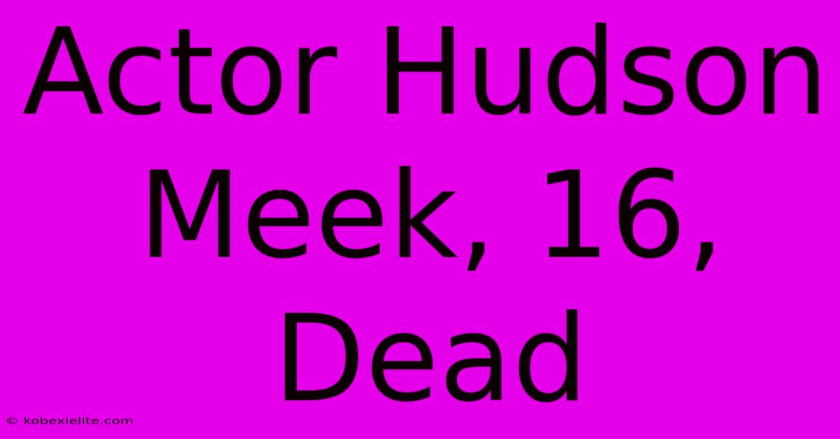 Actor Hudson Meek, 16, Dead