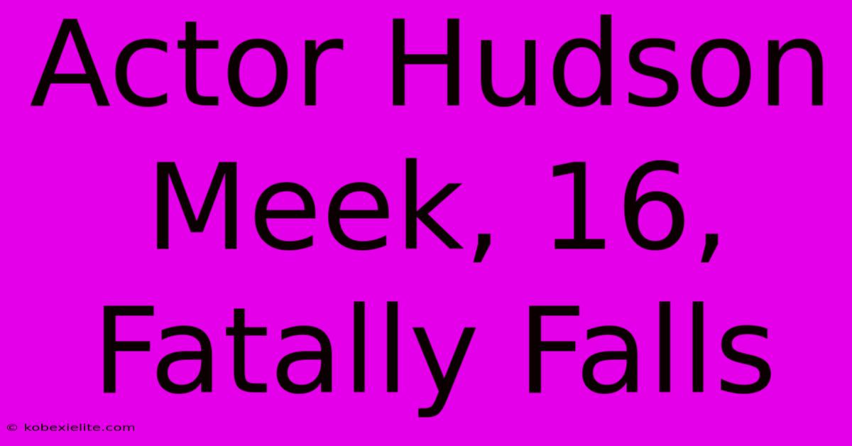 Actor Hudson Meek, 16, Fatally Falls