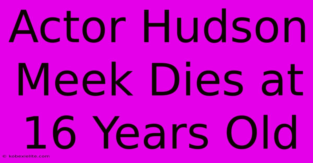 Actor Hudson Meek Dies At 16 Years Old