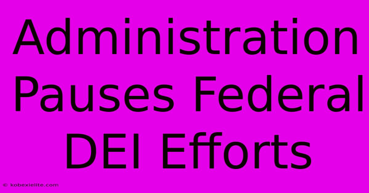 Administration Pauses Federal DEI Efforts