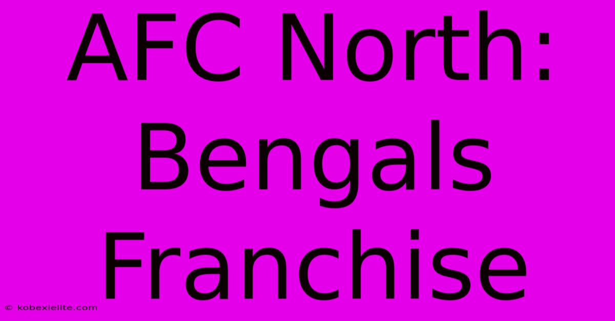 AFC North: Bengals Franchise