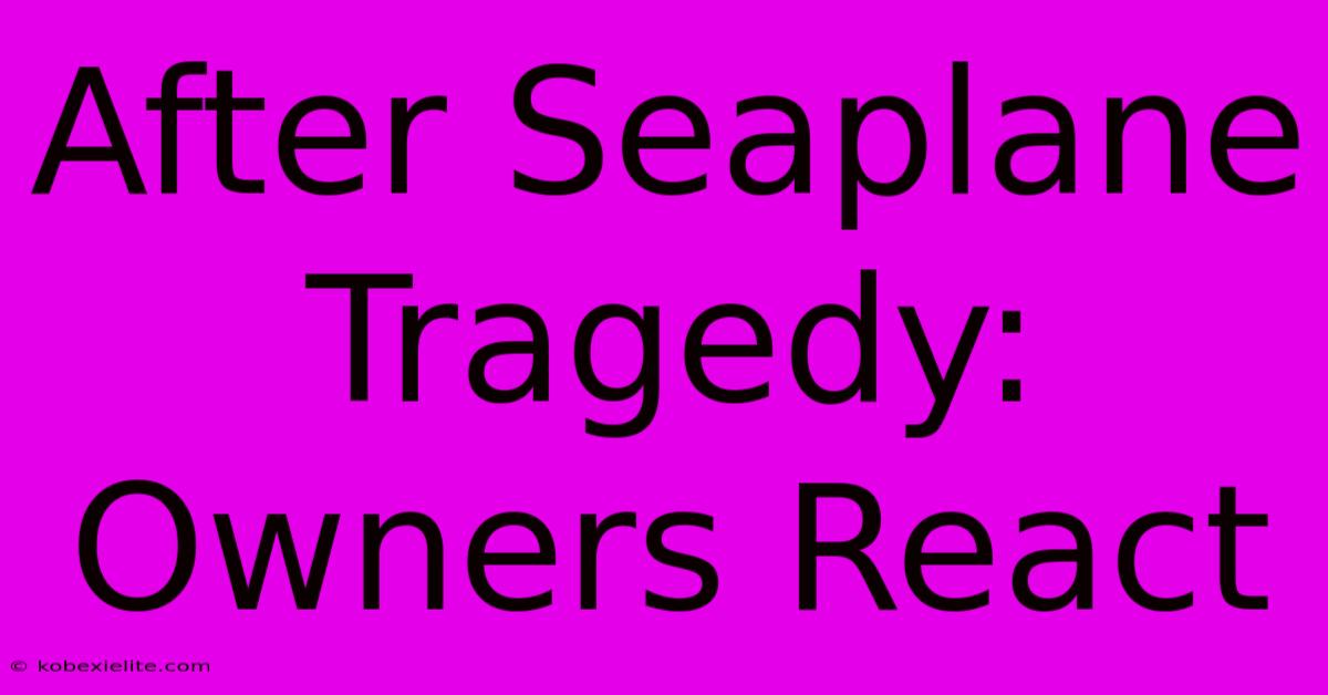 After Seaplane Tragedy: Owners React