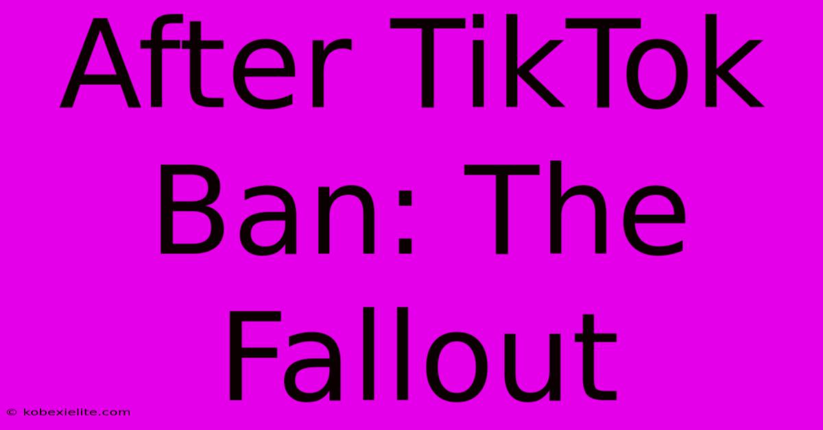 After TikTok Ban: The Fallout