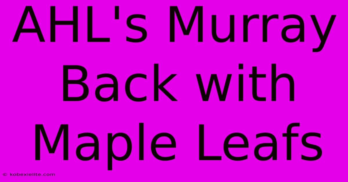 AHL's Murray Back With Maple Leafs