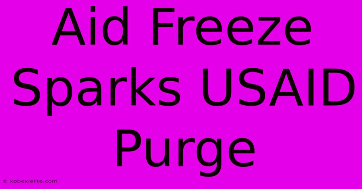 Aid Freeze Sparks USAID Purge