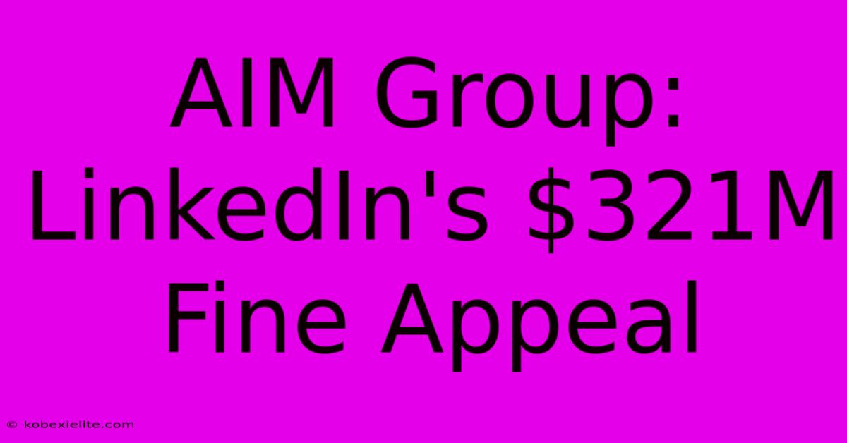 AIM Group: LinkedIn's $321M Fine Appeal