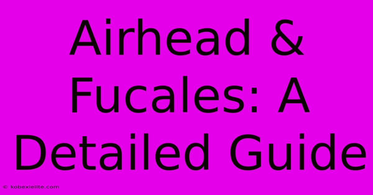 Airhead & Fucales: A Detailed Guide