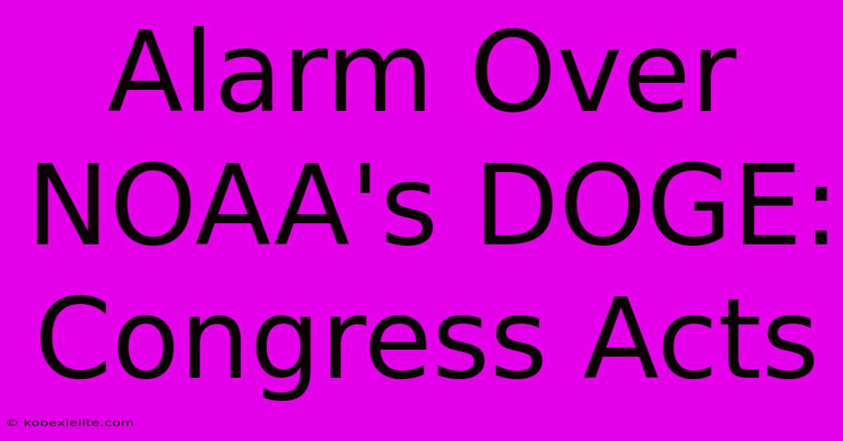 Alarm Over NOAA's DOGE: Congress Acts