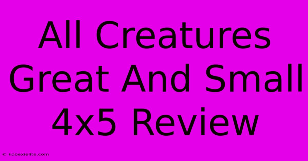 All Creatures Great And Small 4x5 Review