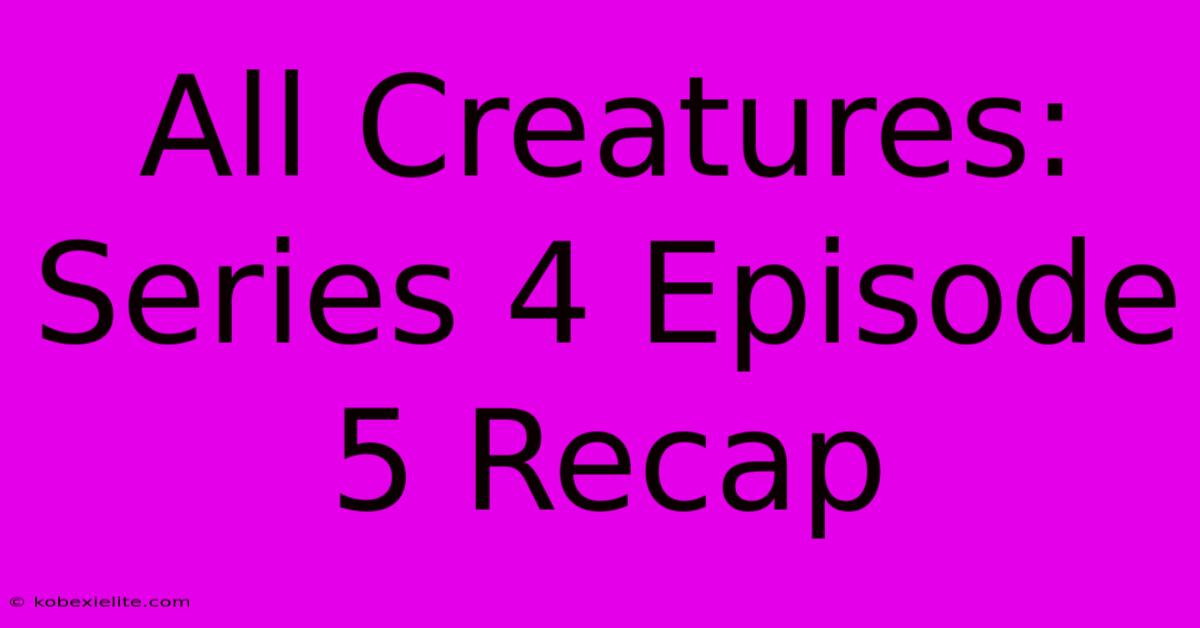 All Creatures: Series 4 Episode 5 Recap