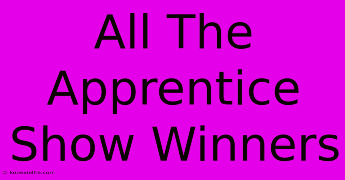 All The Apprentice Show Winners