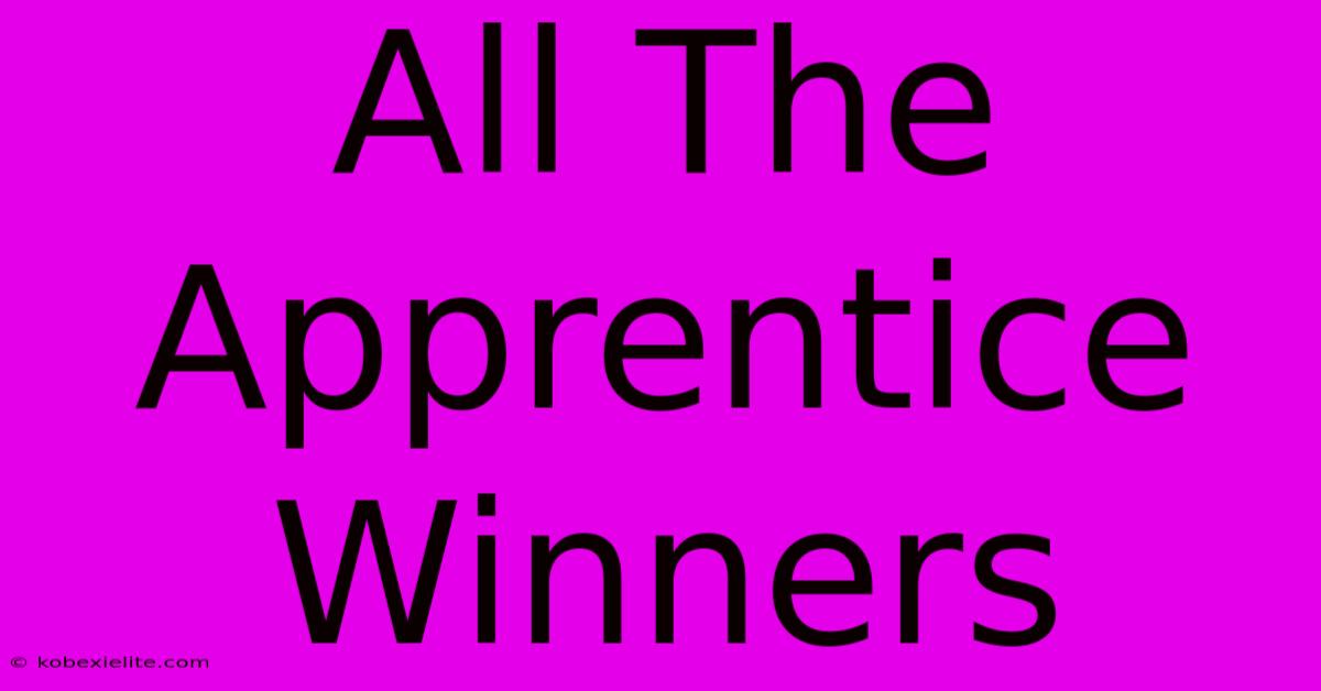 All The Apprentice Winners