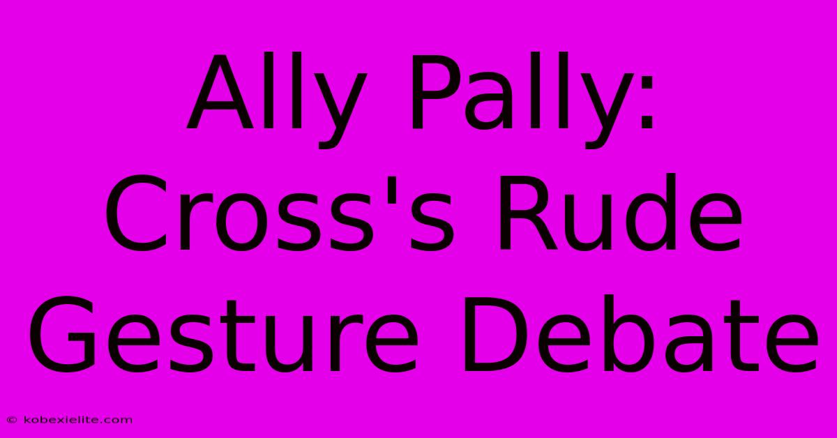 Ally Pally: Cross's Rude Gesture Debate