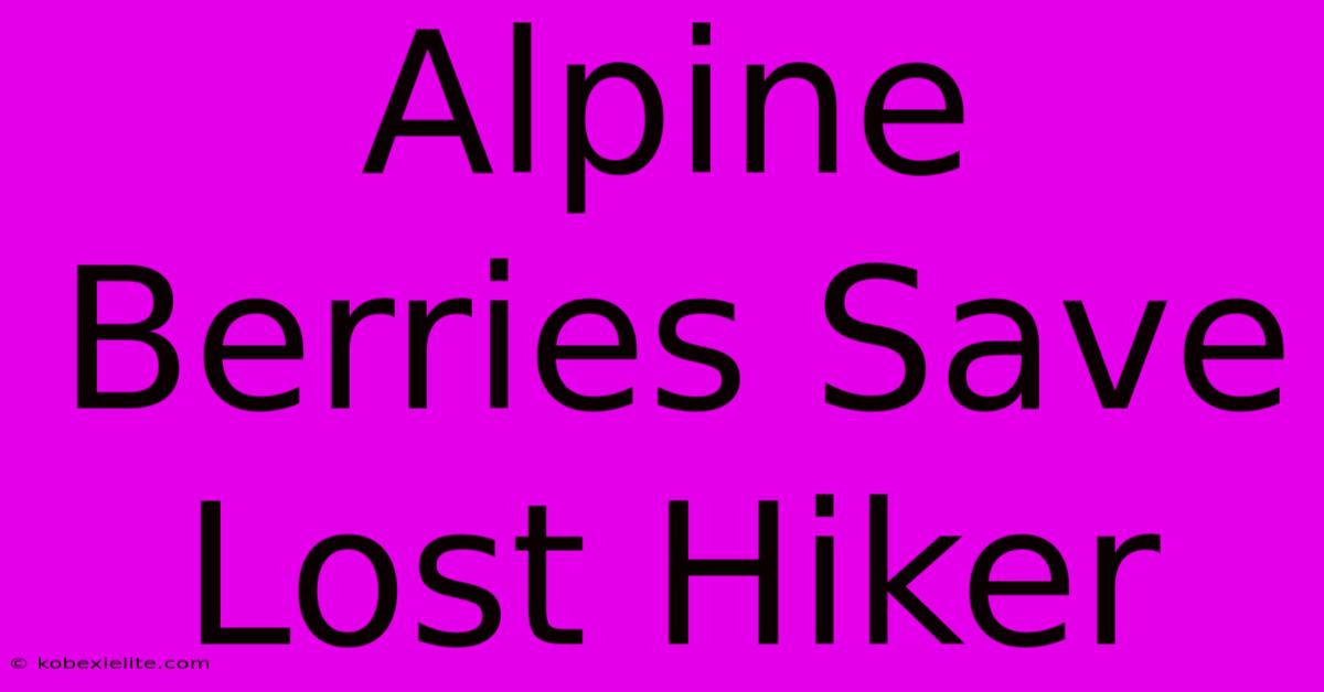 Alpine Berries Save Lost Hiker